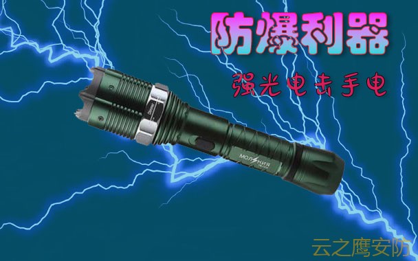 广州防身电击棒