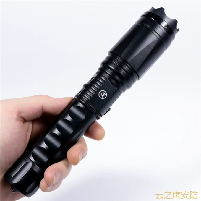 手电型电击棒